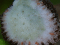 A big win for citizen science in Australia’s Indian Ocean Territories Marine&nbsp;Parks